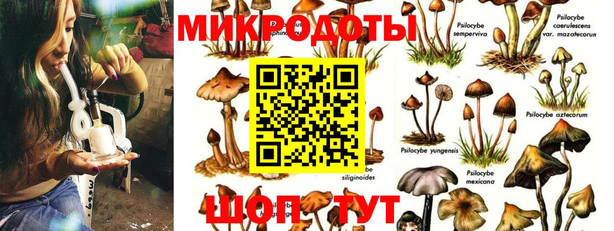 Железногорск  Псилоцибиновые грибы Psilocybine cubensis  Вход с VPN  закладки  Галлюциногенные грибы Psilocybe 